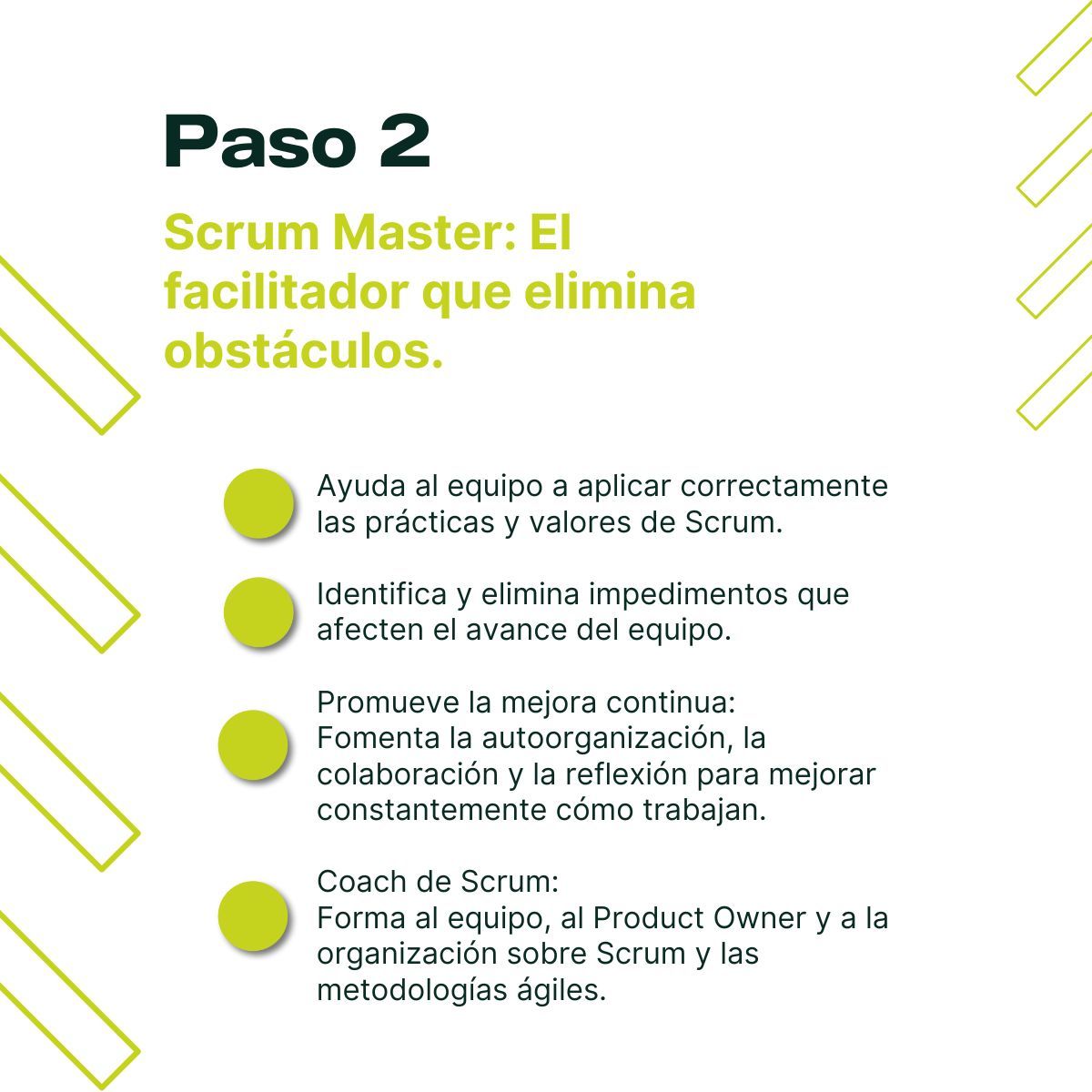 cuarta imagen del equipo